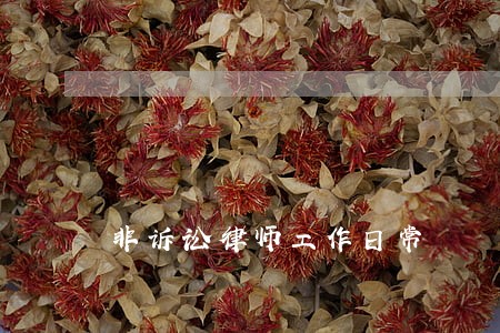 非诉讼律师工作日常 非诉讼律师工作日常