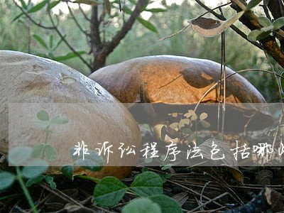 非诉讼程序法包括哪些 非诉讼程序法包括哪些
