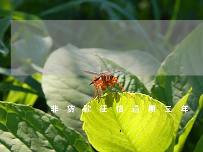 非贷款征信逾期三年 非贷款征信逾期三年