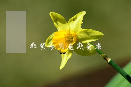 非贸合同逾期备案 非贸合同逾期备案