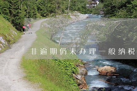 非逾期仍未办理一般纳税人 非逾期仍未办理一般纳税人