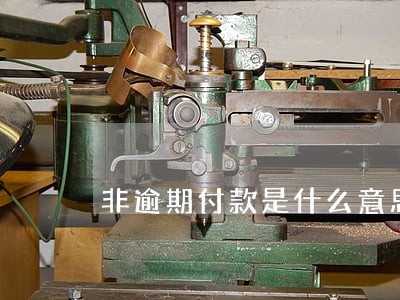 非逾期付款是什么意思 非逾期付款是什么意思