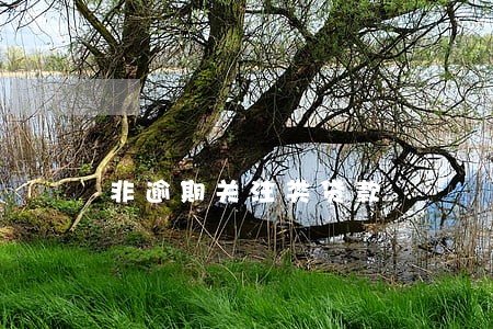 非逾期关注类贷款 非逾期关注类贷款