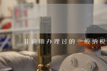 非逾期办理过的一般纳税人 非逾期办理过的一般纳税人