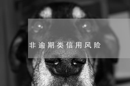 非逾期类信用风险 非逾期类信用风险