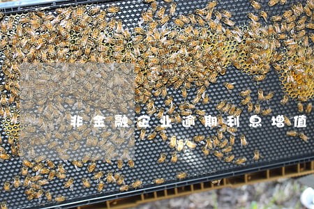 非金融企业逾期利息增值税 非金融企业逾期利息增值税