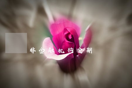 非金融机构逾期 非金融机构逾期