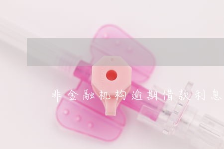 非金融机构逾期借款利息 非金融机构逾期借款利息