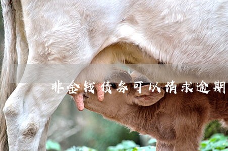 非金钱债务可以请求逾期利息吗 非金钱债务可以请求逾期利息吗