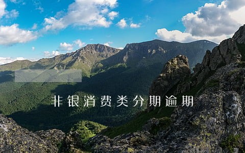 非银消费类分期逾期 非银消费类分期逾期