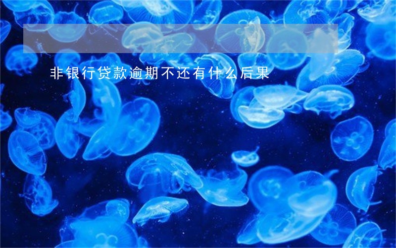 非银行贷款逾期不还有什么后果 非银行贷款逾期不还有什么后果