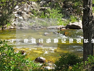 非银行逾期记录可以消除吗 非银行逾期记录可以消除吗