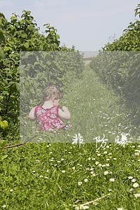 非防爆轮胎诉讼 非防爆轮胎诉讼