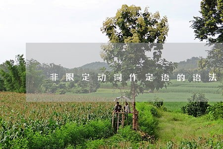 非限定动词作定语的语法规则 非限定动词作定语的语法规则