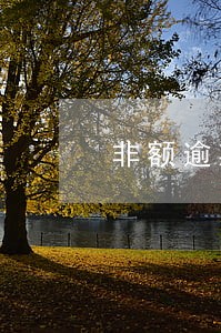 非额逾期贷款证明申请 非额逾期贷款证明申请