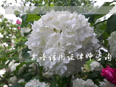 靠谱信用证律师咨询 靠谱信用证律师咨询
