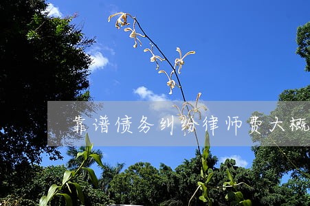 靠谱债务纠纷律师费大概多少 靠谱债务纠纷律师费大概多少