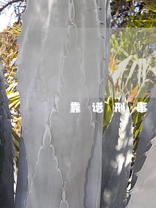 靠谱刑事律师事务所 靠谱刑事律师事务所