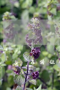 靠谱征地拆迁赔偿律师费怎么收 靠谱征地拆迁赔偿律师费怎么收
