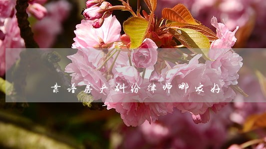 靠谱房产纠纷律师哪家好 靠谱房产纠纷律师哪家好