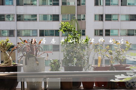 靠谱房产纠纷律师电话 靠谱房产纠纷律师电话