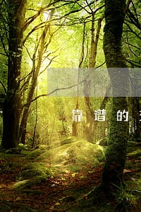 靠谱的交通肇事律师服务至上 靠谱的交通肇事律师服务至上