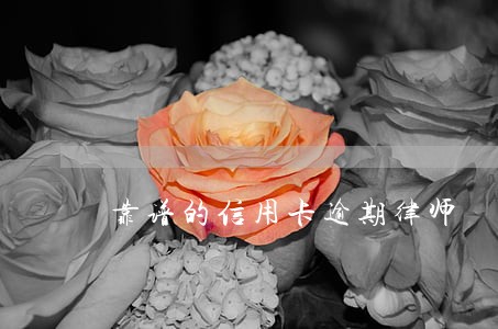 靠谱的信用卡逾期律师 靠谱的信用卡逾期律师