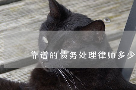 靠谱的债务处理律师多少钱