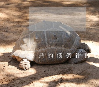 靠谱的债务律师收费标准 靠谱的债务律师收费标准