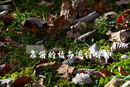 靠谱的债务追讨律师