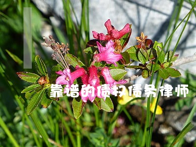 靠谱的债权债务律师 靠谱的债权债务律师