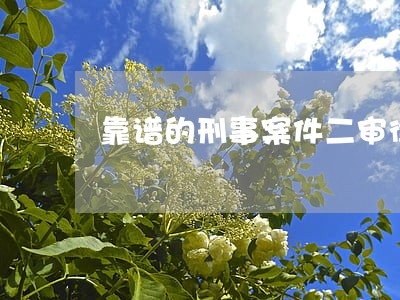 靠谱的刑事案件二审律师