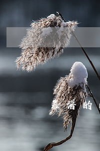 靠谱的南京债务律师费用 靠谱的南京债务律师费用