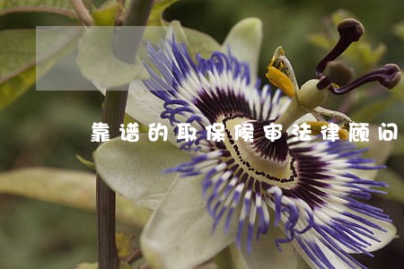 靠谱的取保候审法律顾问 靠谱的取保候审法律顾问