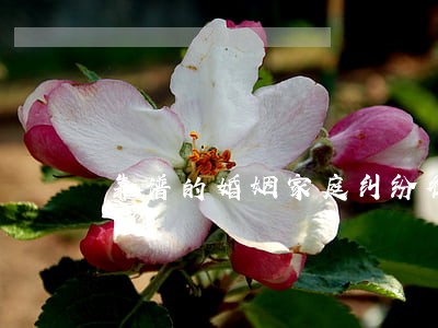 靠谱的婚姻家庭纠纷律师怎么收费 靠谱的婚姻家庭纠纷律师怎么收费