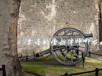 靠谱的婚姻律师哪家好 靠谱的婚姻律师哪家好