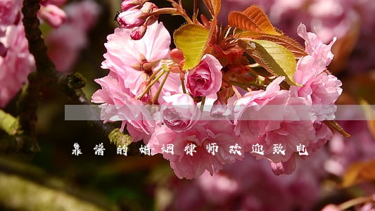 靠谱的婚姻律师欢迎致电 靠谱的婚姻律师欢迎致电