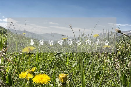 靠谱的律师咨询平台 靠谱的律师咨询平台