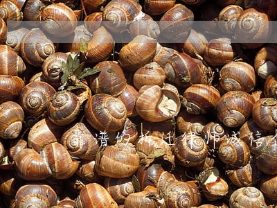 靠谱的拆迁律师诚信企业 靠谱的拆迁律师诚信企业