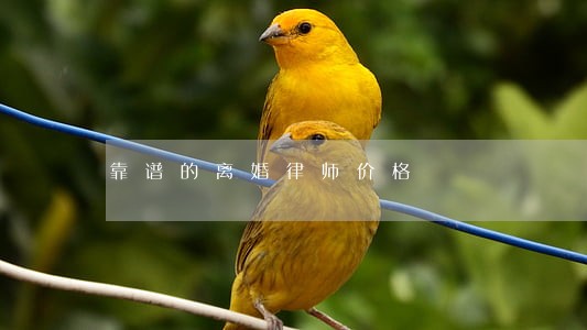 靠谱的离婚律师价格 靠谱的离婚律师价格