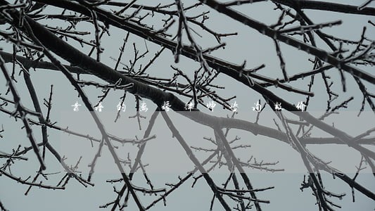 靠谱的离婚律师咨询报价