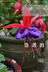靠谱的离婚律师怎么收费 靠谱的离婚律师怎么收费