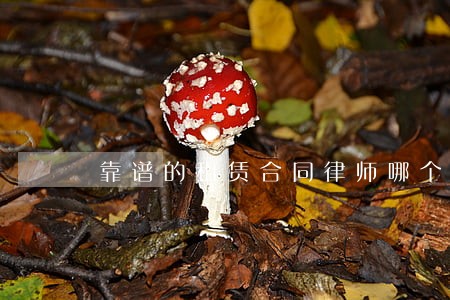 靠谱的租赁合同律师哪个好 靠谱的租赁合同律师哪个好