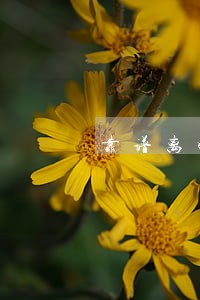 靠谱离婚律师哪家好 靠谱离婚律师哪家好