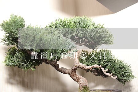 靠谱鸟逾期多久打电话 靠谱鸟逾期多久打电话
