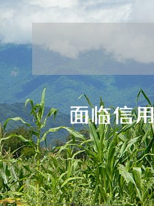 面临信用卡和网贷全面逾期之前