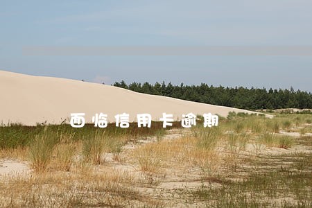 面临信用卡逾期