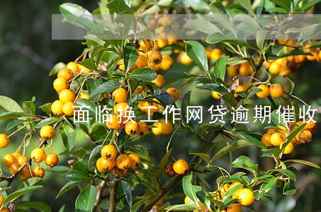 面临换工作网贷逾期催收 面临换工作网贷逾期催收