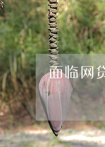 面临网贷逾期怎么办网贷还不上
