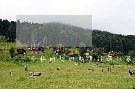 面临网贷逾期要报通讯录 面临网贷逾期要报通讯录